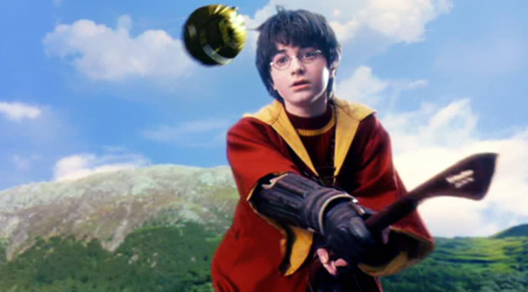 Quidditch, Harry Potter à l'école des sorciers