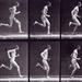 Running at full speed, 1872 par  Eadweard Muybridge