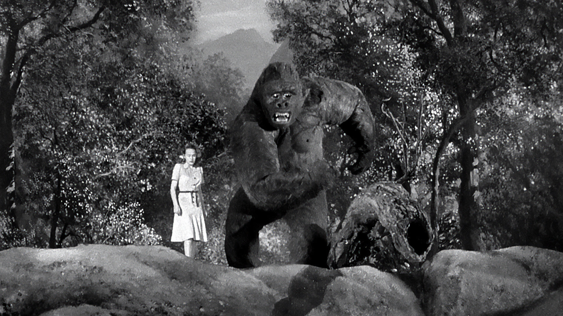 Monsieur Joe (Mighty Joe Young)