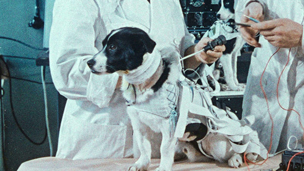 Space Dogs