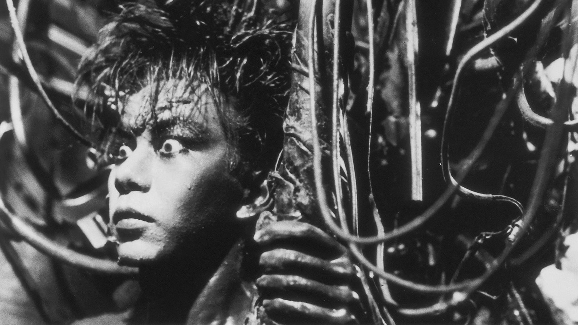 Tetsuo 