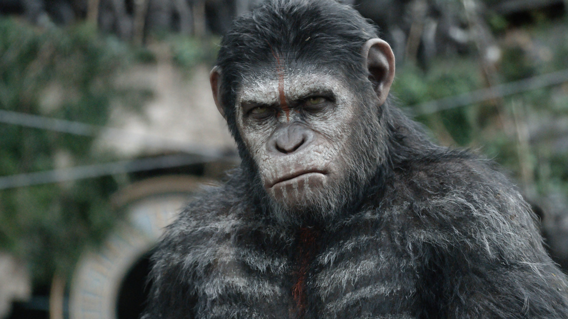 La Planète des singes L’Affrontement