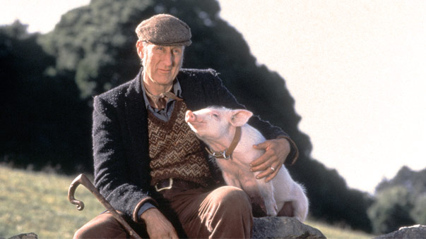 Babe le cochon devenu berger