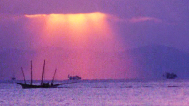 Cinéma et luttes écologiques, The Shiranui Sea