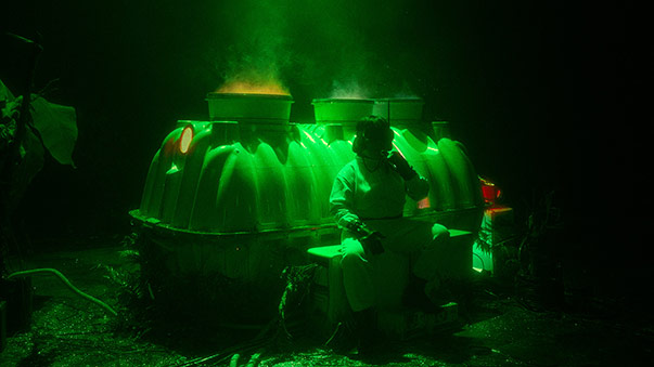 Fossilis © Riar Rizaldi