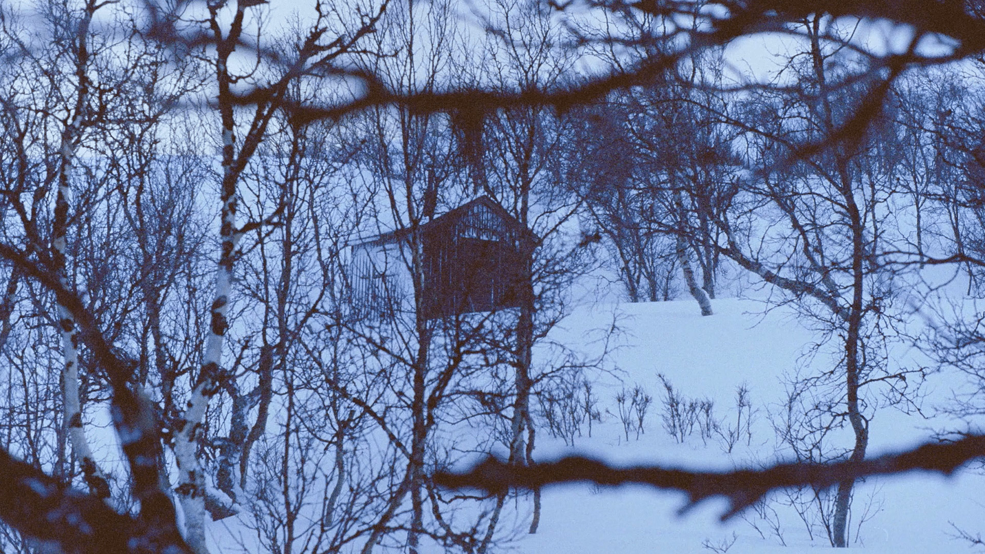 La Fille à la recherche de la cabane @ Pentacle Productions Rezo Films