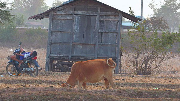 Back Home © Documentaire sur Grand Ecran