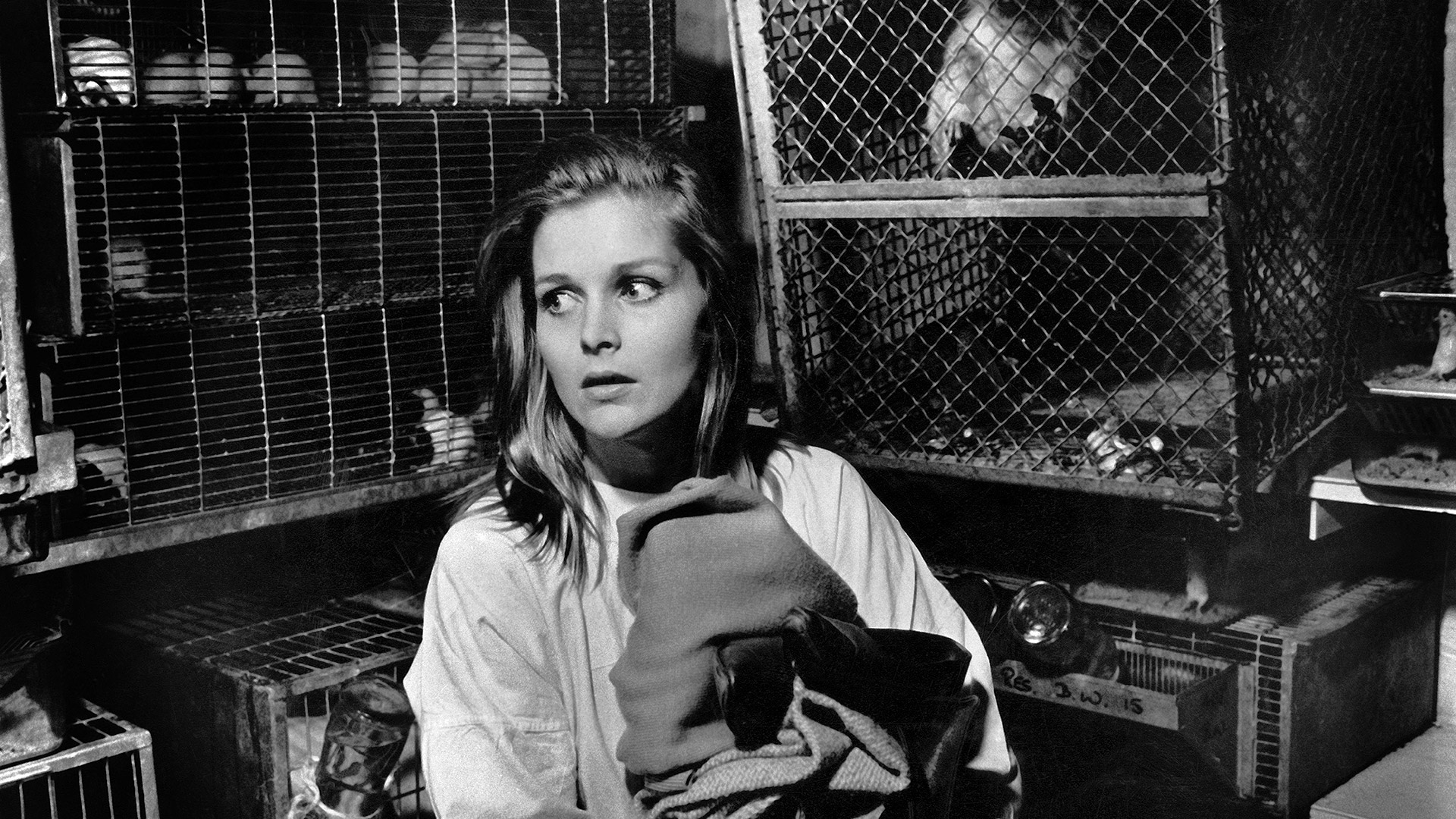 Bunny Lake a disparu © Park Circus