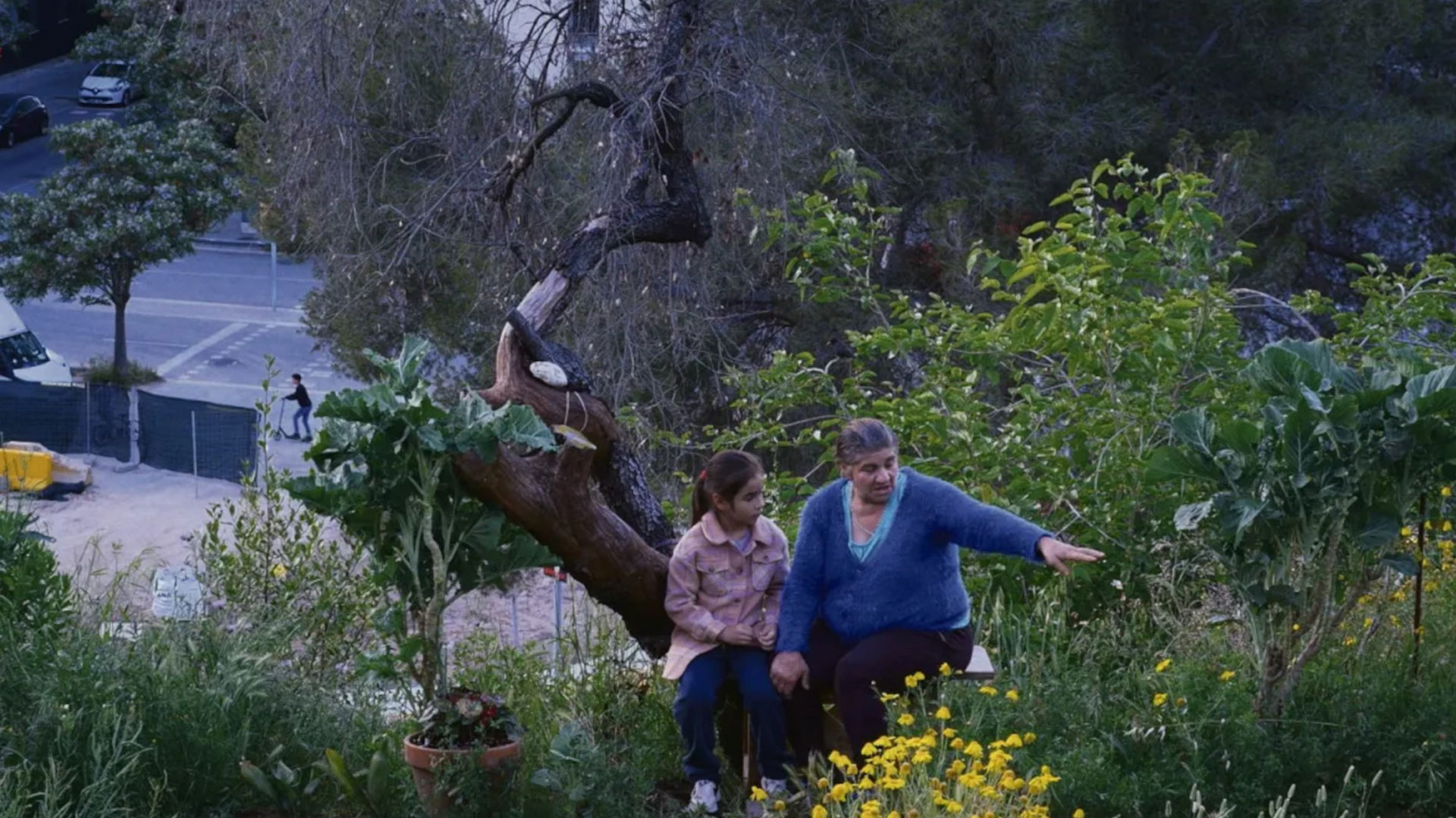 Histoires de la bonne vallée © Shellac