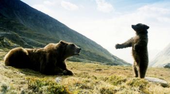  "L'Ours" © Collection-Christo 