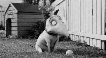 "Frankenweenie" de Tim Burton © The Walt Disney Company France 