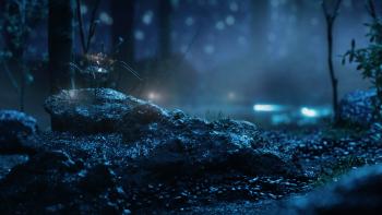 Proxima © Marie Larrivé