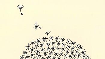 Le Cadavre exquis animé 2025