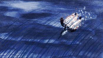 Le Saut du pingouin © Droits réservés