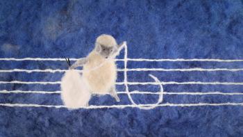 Chut-petit-ours-©-Les-Films-du-Préau