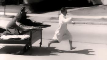 The Fresh Lobster © DR