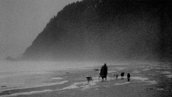 Langue morte © Volátil