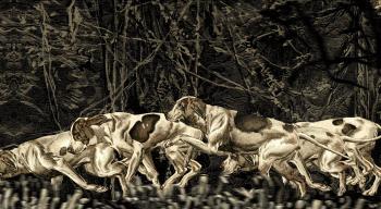 Je criais contre la vie ou pour elle © Insolence Productions