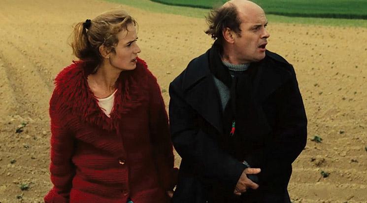  Peaux de vaches © DR 