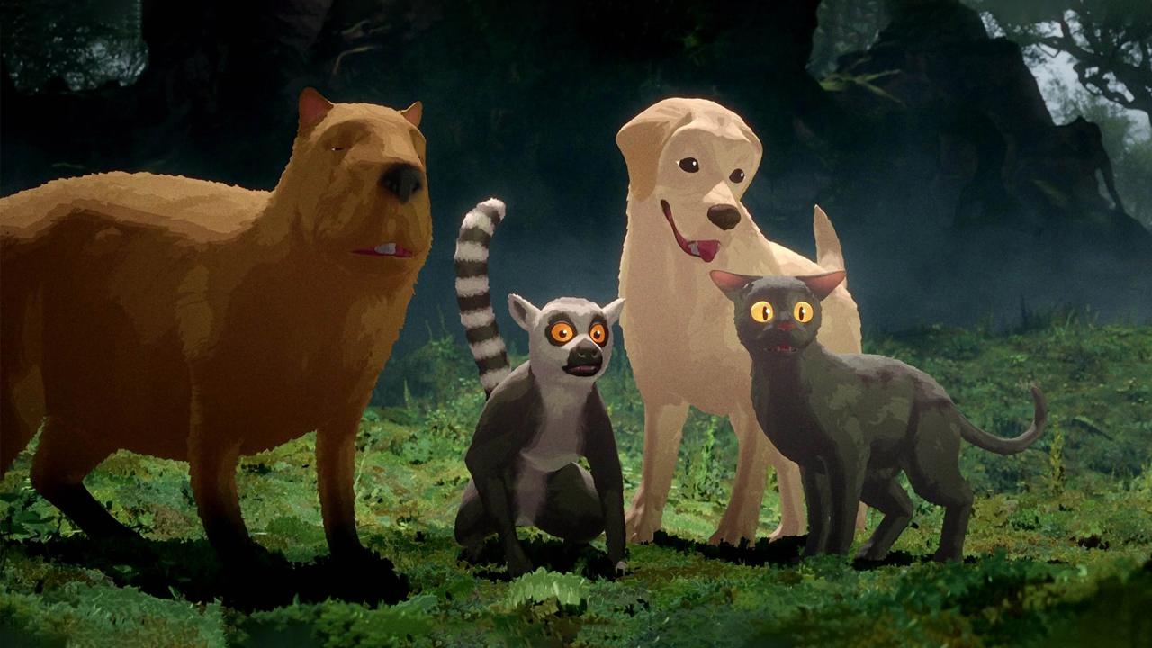 Flow, le chat qui n'avait plus peur de l'eau