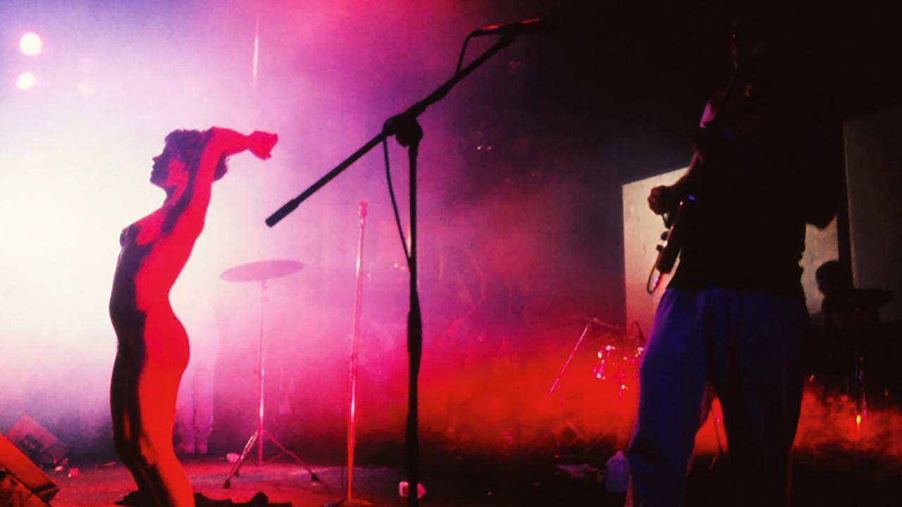 Butthole Surfers: The Hole Truth and Nothing Butt 