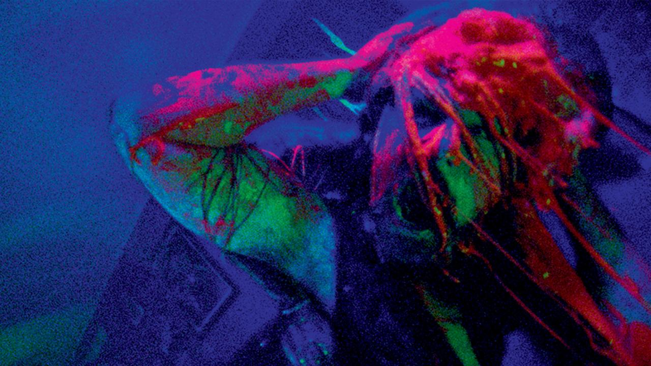 Jimmy and Stiggs - DR