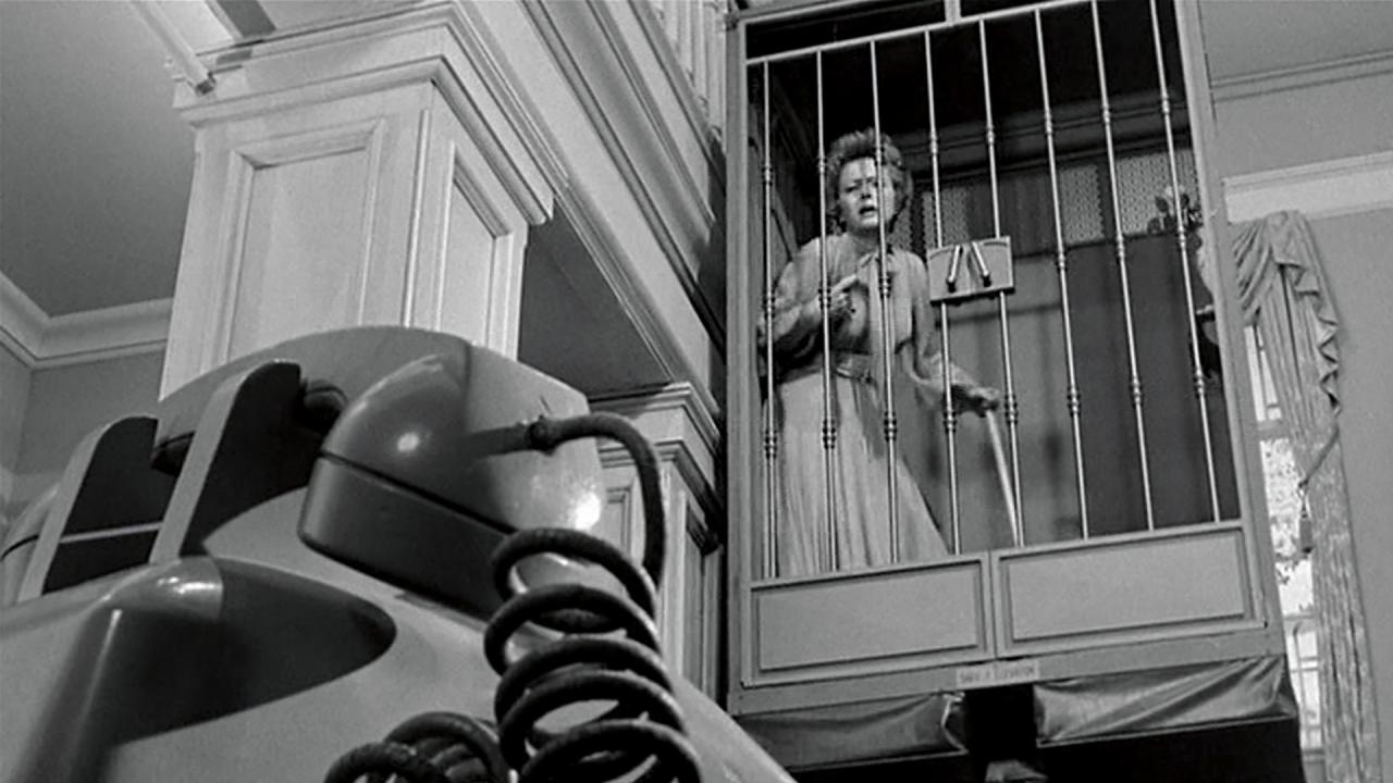 Une Femme dans une Cage - DR