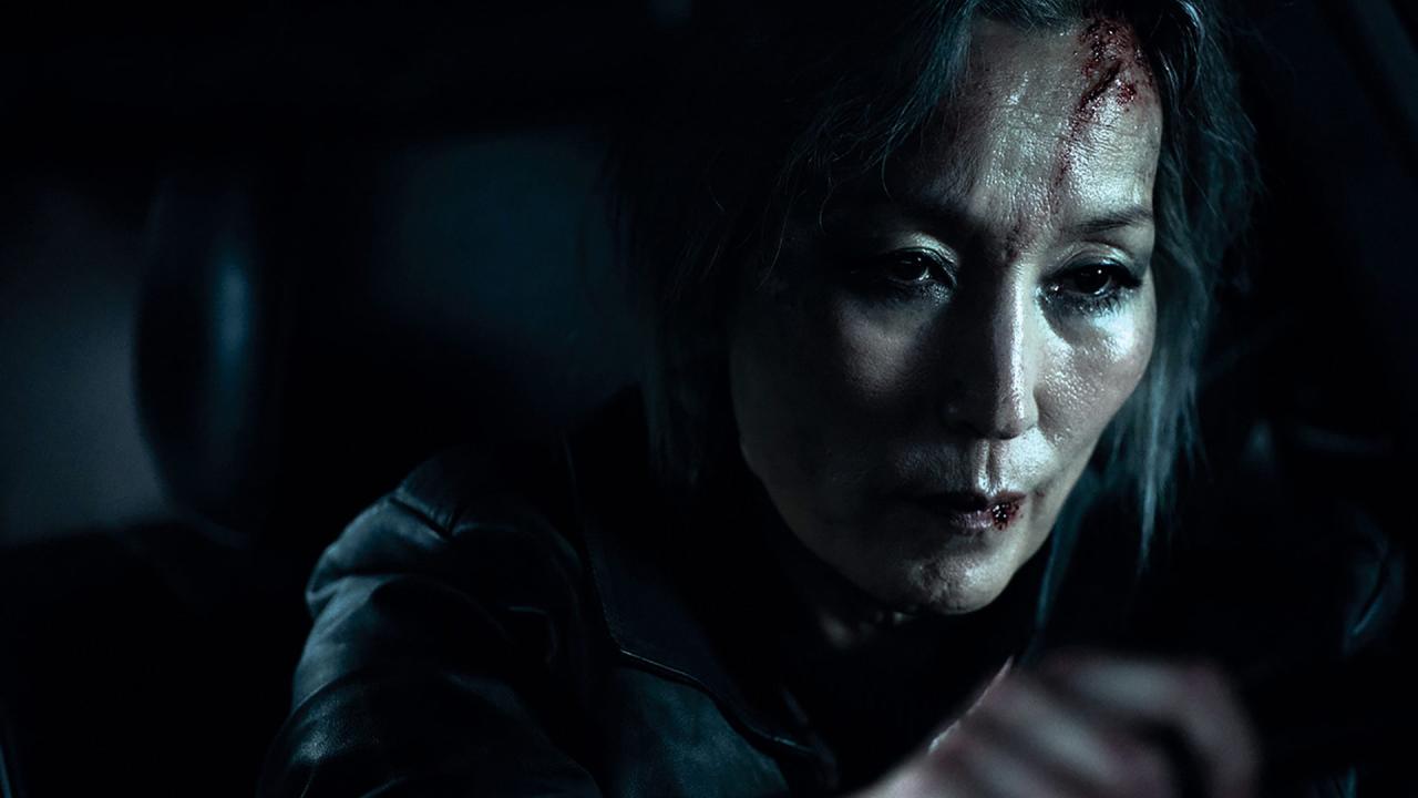 The Old Woman With The Knife