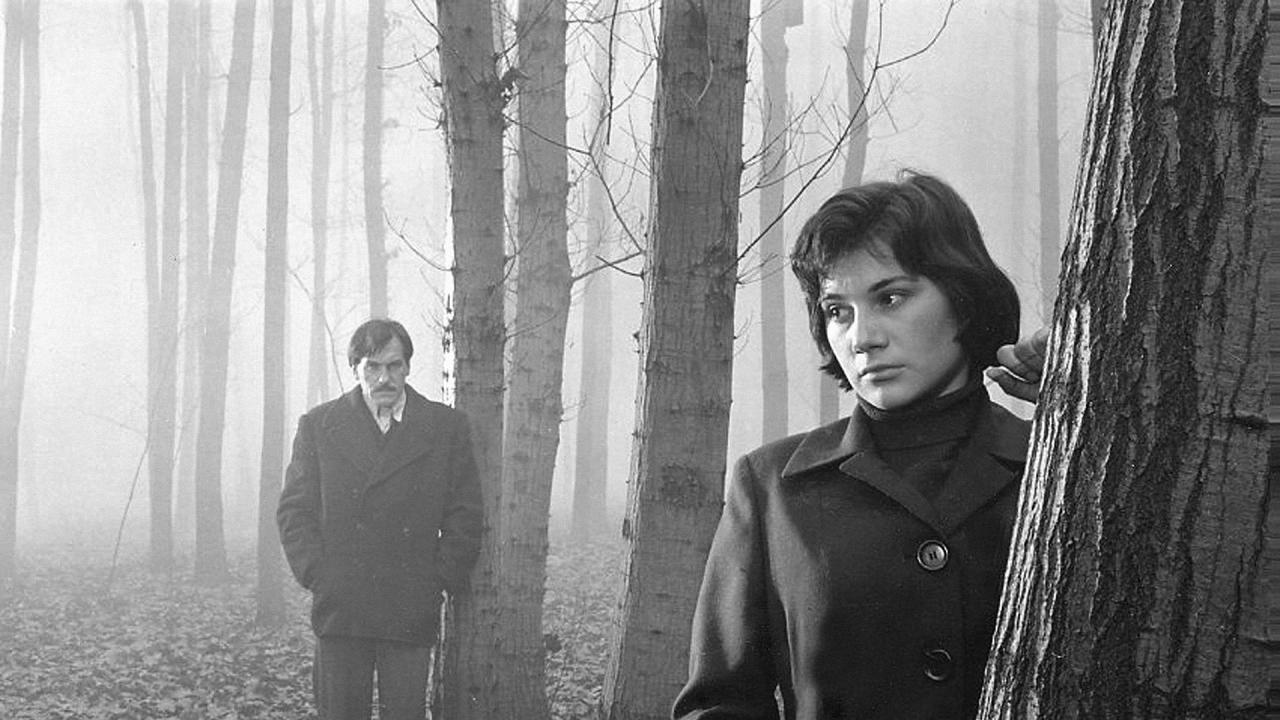 Nous étions jeunes © Collection Christophel