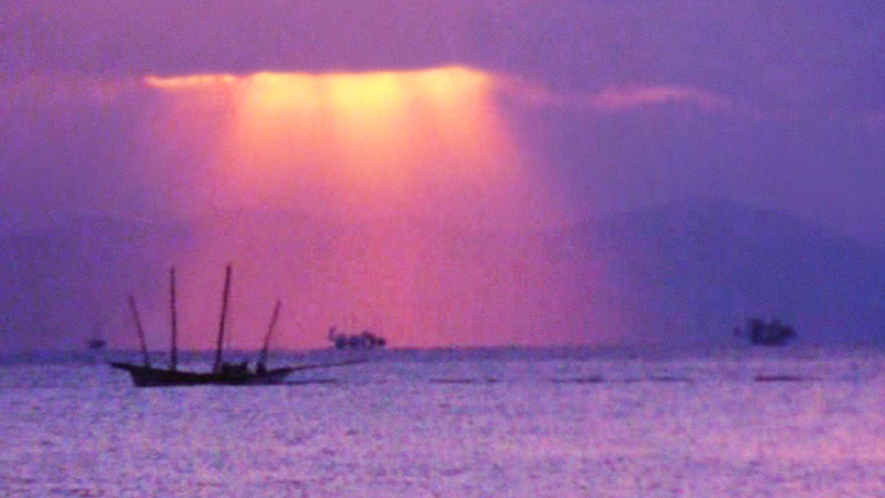 Cinéma et luttes écologiques, The Shiranui Sea