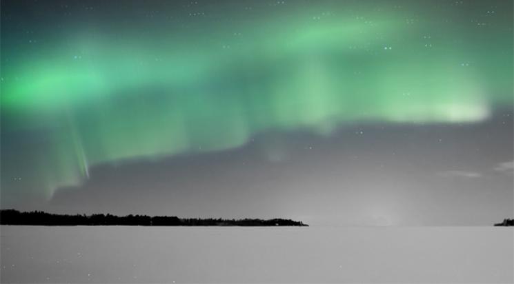 Cinéma du Québec 2014