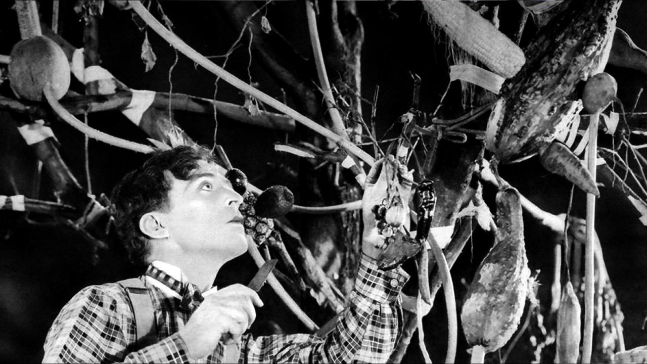 Amazing Charley Bowers © FPA Classics (Lobster Films)