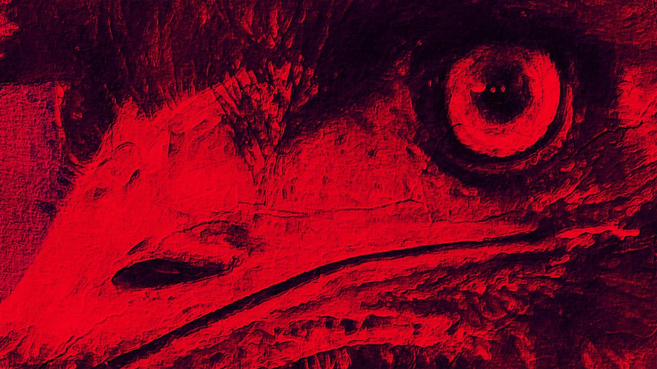 The Dark Emu Story | Forum des images