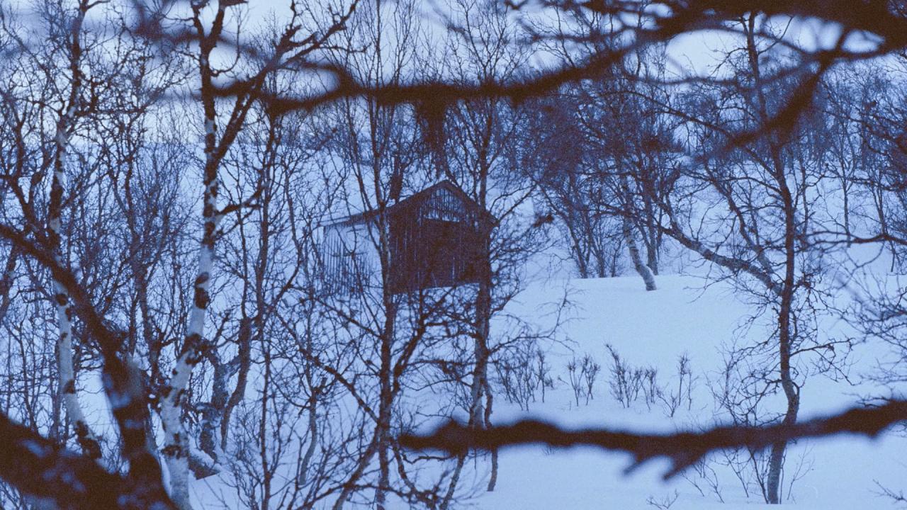 La Fille à la recherche de la cabane @ Pentacle Productions Rezo Films