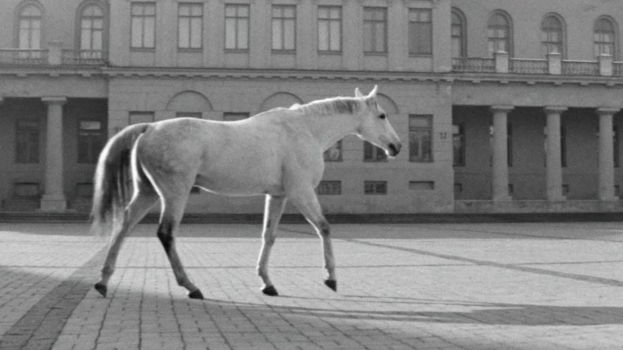 Le Temps passe à travers la ville © Lietuvos kino centraş