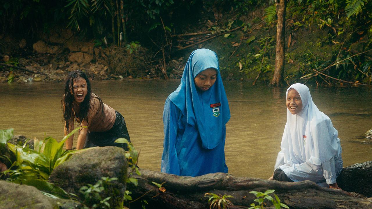 Tiger Stripes © GGrrr Pictures 2023