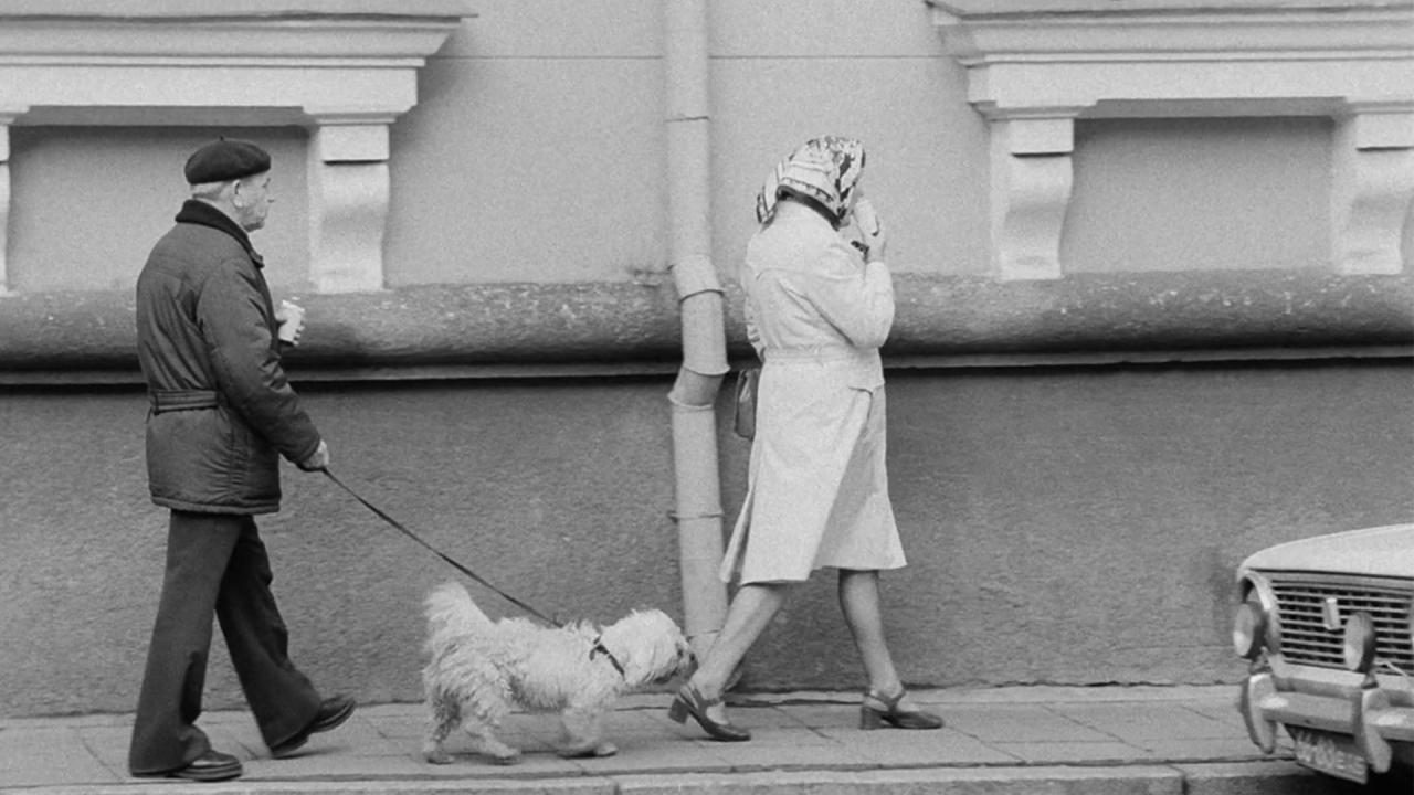 Animal urbain (Linnaloom) © Eesti Filmi Instituut