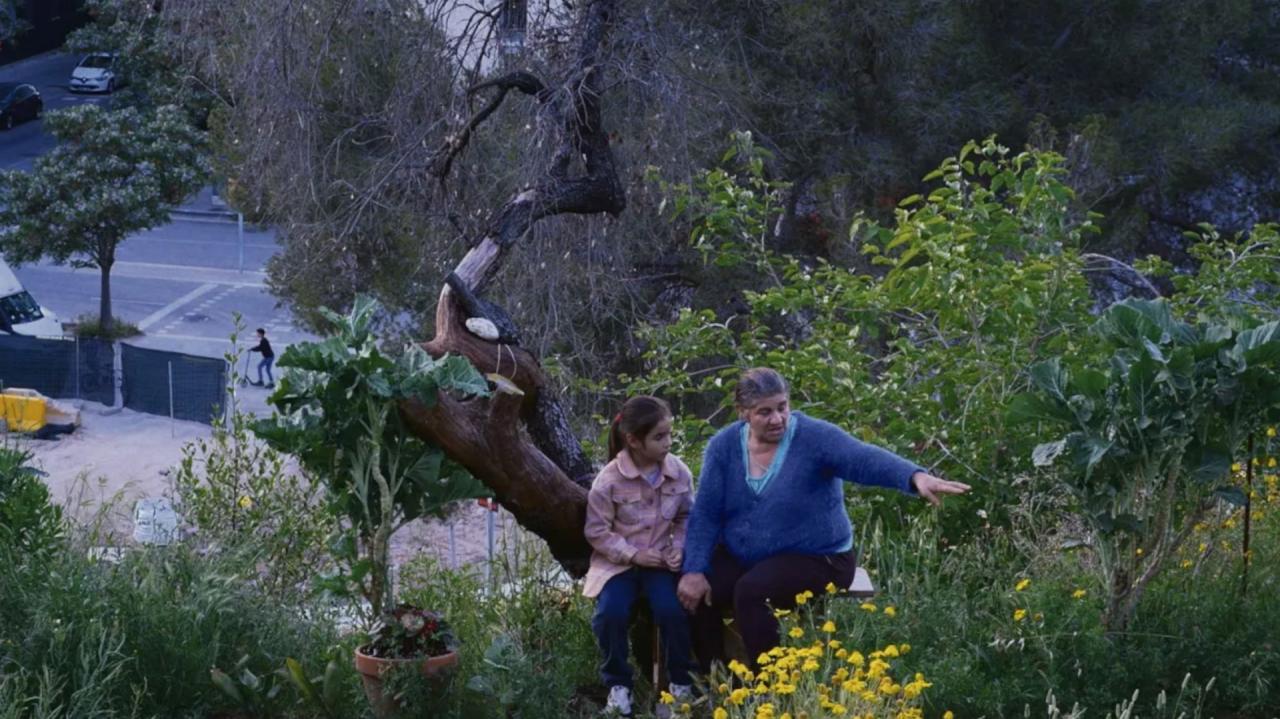 Histoires de la bonne vallée © Shellac