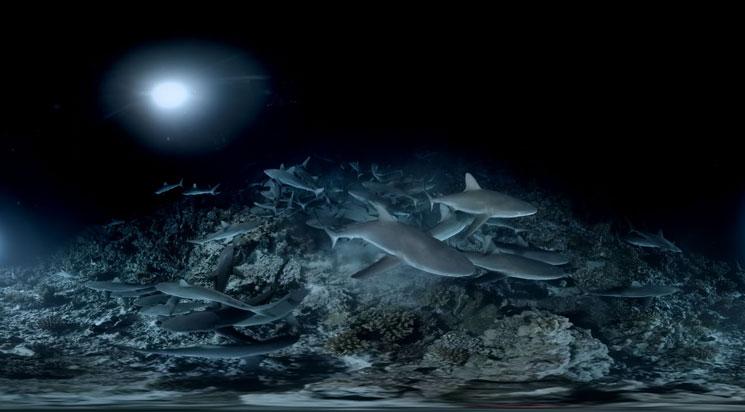 Les samedis de la VR - 15h30 / 9 mars