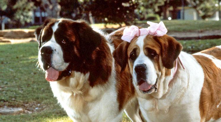 Beethoven // annulé