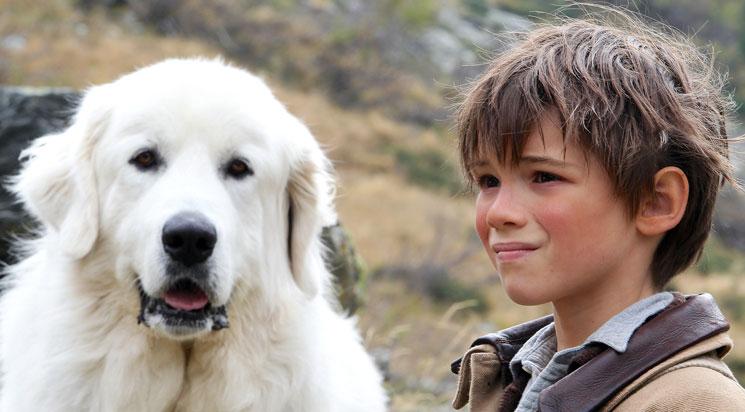 Belle et Sébastien // annulé