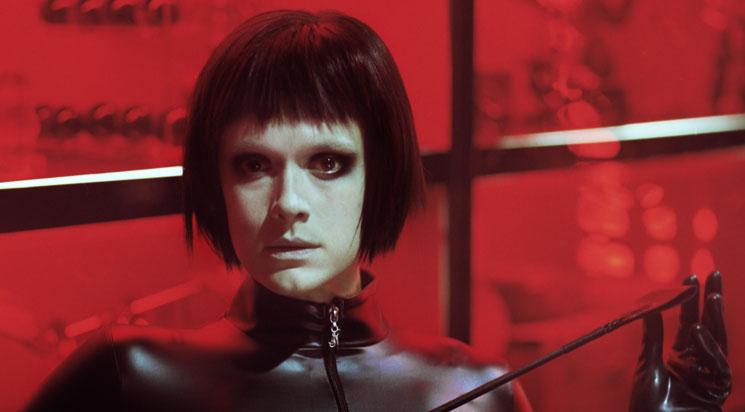 Koirat eivät käytä housuja