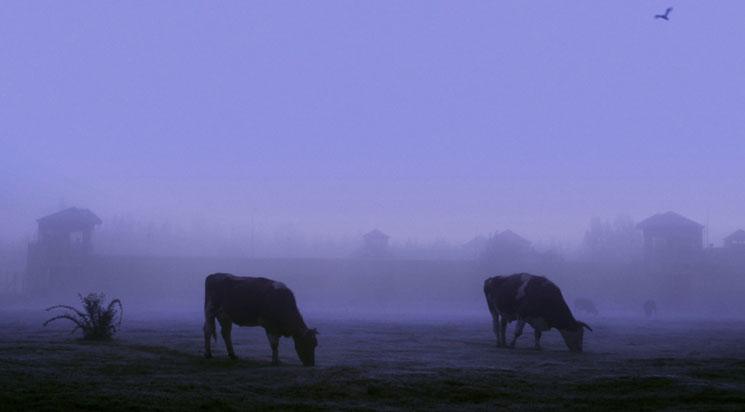 This Side of History + Los sueños del castillo