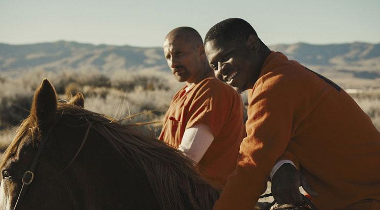 Avant-première Positif