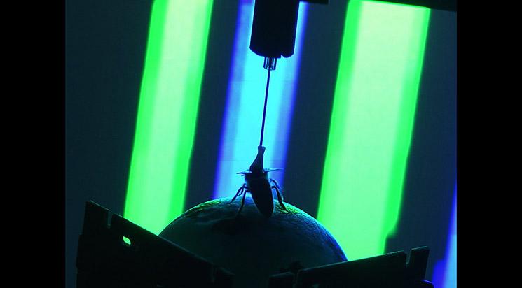 Compétition courts métrages 6