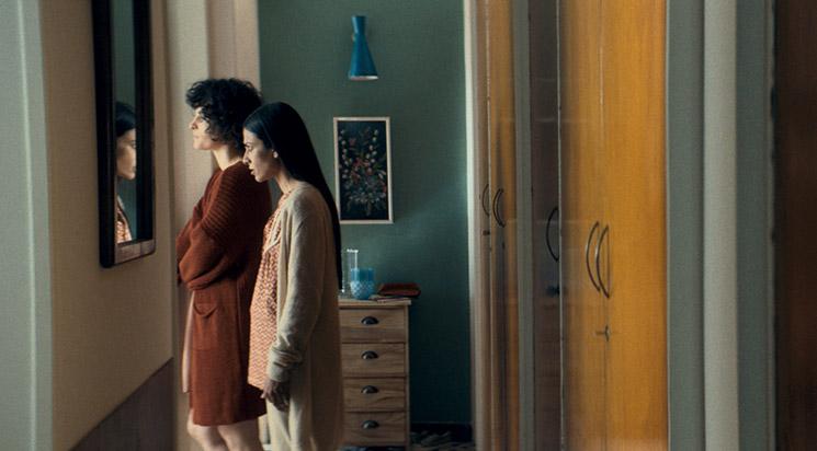 Embryo Larva Butterfly