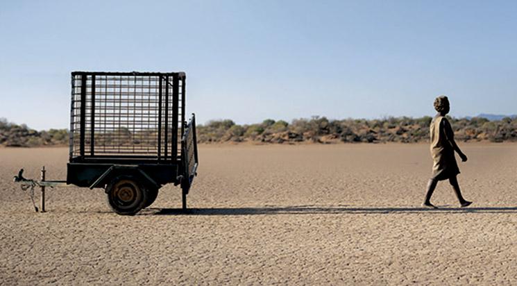 The Survival of Kindness