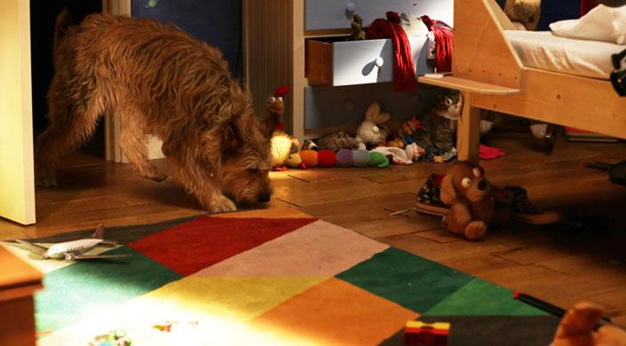 Les rendez-vous de la VR