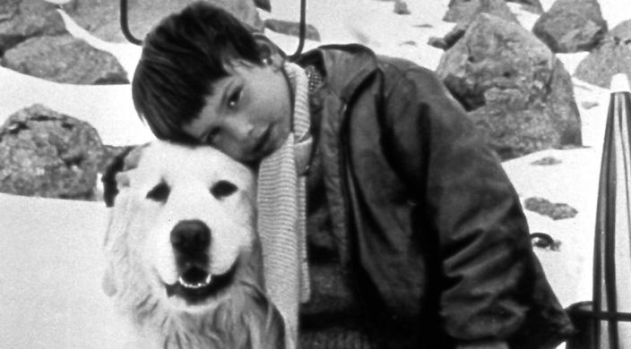 Belle et Sébastien (la série)