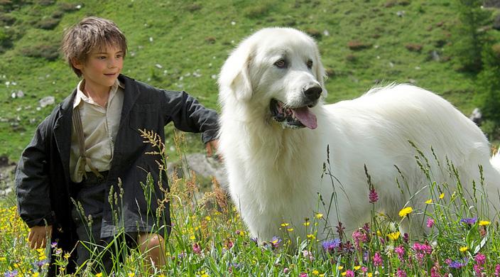 "Belle et Sébastien" de Nicolas Vanier